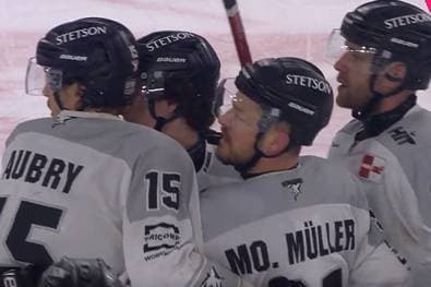 Straubing Tigers - Kölner Haie 