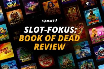 Book of Dead Review 2026: Alle Regeln, Features und Fakten