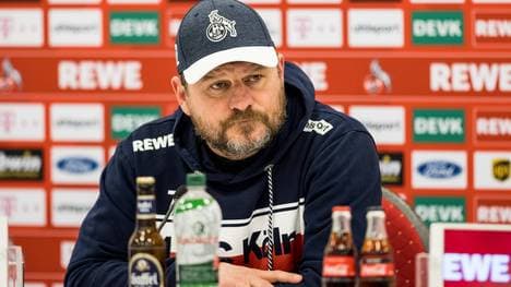 Steffen Baumgart und der 1. FC Köln stehen in der Tabelle blendend da