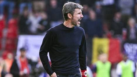 Mark van Bommel 
