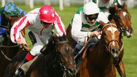 Galopper stören den Zeitplan für den geplanten Bau der DFB-Akademie