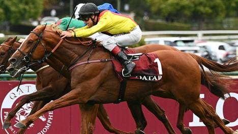 Der deutsche Spitzen-Galopper Torquator Tasso hat die erfolgreiche Titelverteidigung im 101. und legendären Prix de l‘Arc de Triomphe knapp verpasst. 