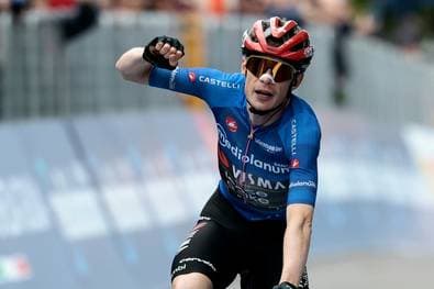Vingegaard triumphiert erneut