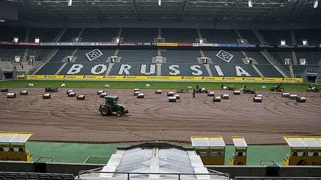 Die Gladbacher Profis bekommen einen neuen Rasen 