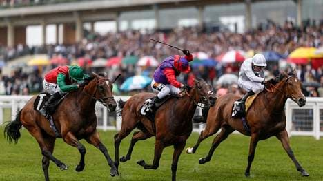 Die Zuschauer waren eigentlich wegen der Pferderennen gekommen