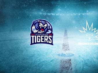 Straubing Tigers - Dresdner Eislöwen: Tore und Highlights | PENNY DEL