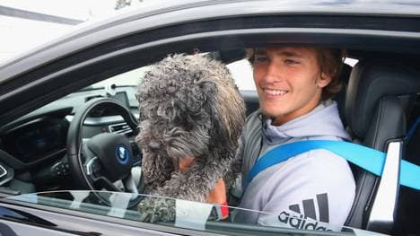 Alexander Zverev, Hund, Miami