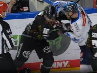 Kölner Haie - ERC Ingolstadt: Tore und Highlights | PENNY DEL
