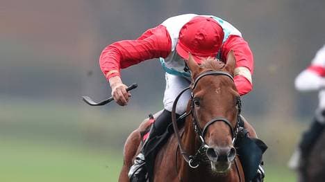 Auf Tünnes ruhen große Galopp-Hoffnungen