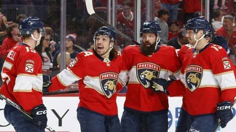 Die Panthers erzielten im ersten Drittel sieben Tore