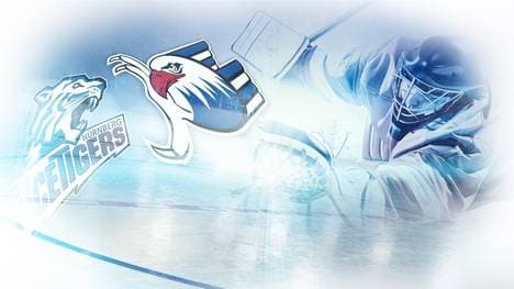 Die Thomas Sabo Ice Tigers haben in der DEL die Adler Mannheim zu Gast