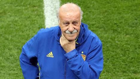 Vicente Del Bosque gewann mit der Nationalmannschaft zwei Titel