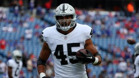 Für die Raiders kam Johnson insgesamt auf 25 Einsätze