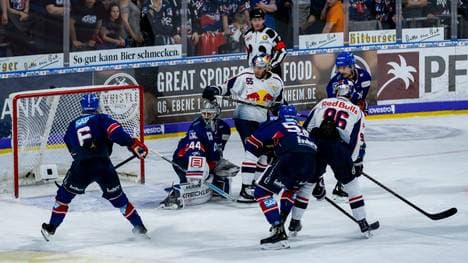 Durch die harte Playoff-Serie 2018 entstand endgültig die Rivalität zwischen den Adlern und dem EHC