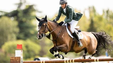 Breens Pferd war schnell wieder auf den Beinen