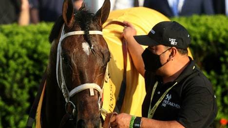 Rombauer gewinnt Preakness Stakes