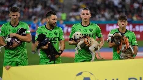 Die Fußballer laufen mit Hunden ins Stadion ein