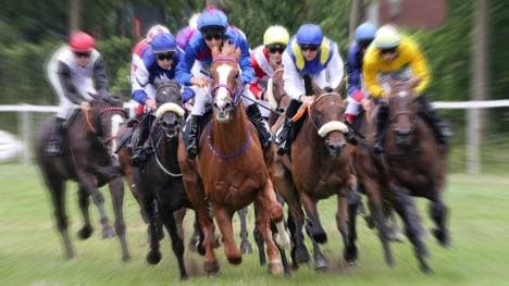 Am Samstag steigt das 151. Deutsche Derby in Hamburg-Horn