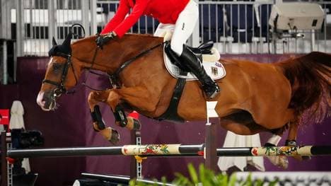 Andre Thieme gewinnt Europameisterschaft im Springreiten