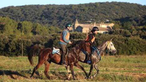 Das Distanzreiten wurde am Mittwoch abgebrochen