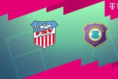 FSV Zwickau - FC Erzgebirge Aue (Highlights)