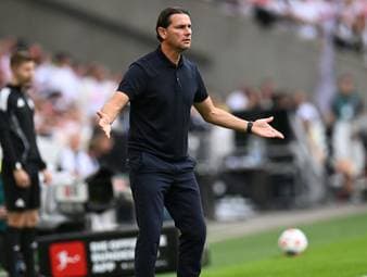 Neuer Job für Ex-Gladbach-Trainer