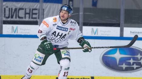 Steffen Tölzer spielt seit 2004 für die Augsburger Panther
