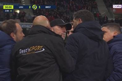 Rudelbildung! Sogar zwei Trainer gehen aufeinander los