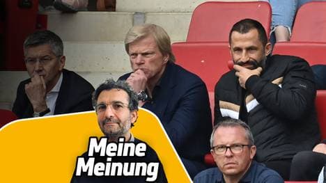 Alex Steudel hat Mitleid mit den Bayern