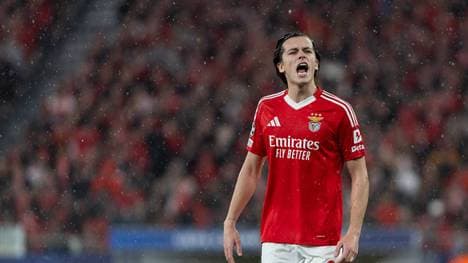 Álvaro Carreras soll zukünftig für Real Madrid auflaufen