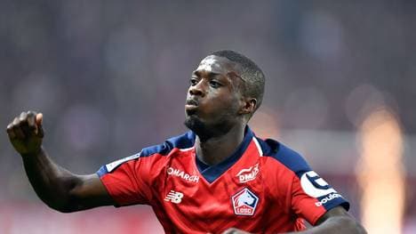 Nicolas Pépé, OSC Lille