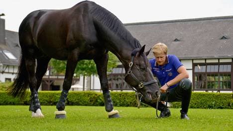 Totilas (hier mit Reiter Matthias Alexander Rath) gewann bei der WM 2010 dreimal Gold