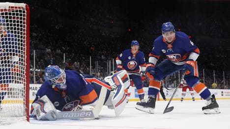 Thomas Greiss (l.) hiel seinen Kasten sauber