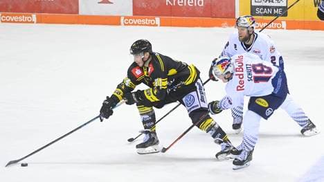 Die Krefeld Pinguine sind finanziell gerettet