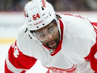 DEL-Team holt Ex-NHL-Stürmer