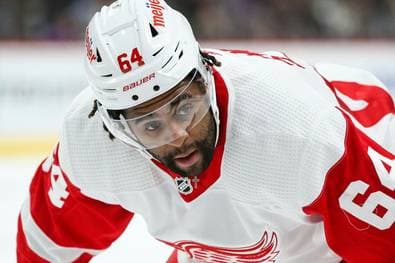 DEL-Team holt Ex-NHL-Stürmer