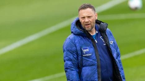 Pal Dardai nimmt seine Mannschaft in die Pflicht