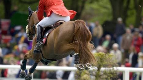 Das Weltcup-Finale der Springreiter findet nicht statt