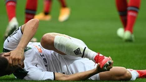 Lainer steht den Fohlen vorerst nicht zur Verfügung