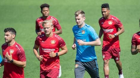 Lukas Hradecky (2. v. r.) lobt seine neuen Kollegen