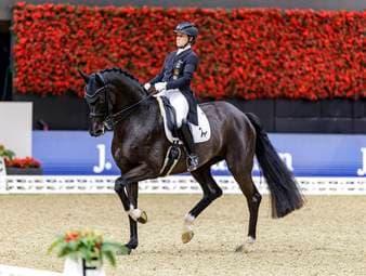 Topstars verzichten auf Dressur-Finale