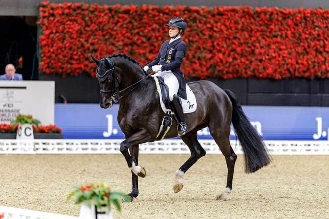 Topstars verzichten auf Dressur-Finale