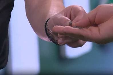 "Das habe ich noch nie gesehen!" Die kuriosesten WM-Momente