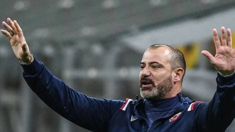 Belgrad: Stankovic tritt als Trainer zurück