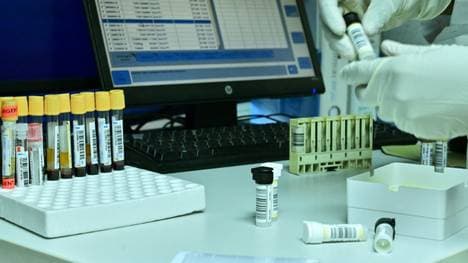 Werner Franke ist im Alter von 82 Jahren verstorben