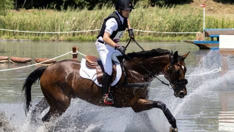 Michael Jung setzt sich in Luhmühlen an die Spitze