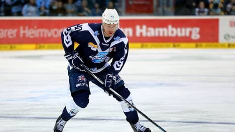 Hamburg Freezers v Thomas Sabo Ice Tigers - DEL