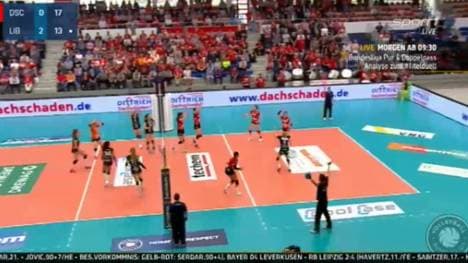 DVV Bundesliga, Playoffs Viertelfinale: Dresdner SC - Ladies in Black Aachen