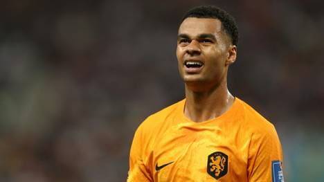 Neuzugang Cody Gakpo steht vor seinem Liverpool-Debüt