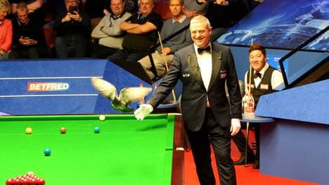 Der Schiedsrichter nimmt sich ein Herz und verscheucht die Taube vom Tisch